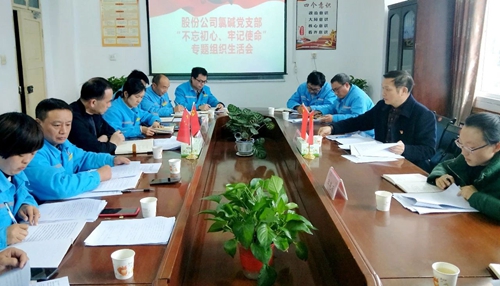 向宇飛列席指導(dǎo)股份公司氯堿黨支部“不忘初心、牢記使命”專題組織生活會(圖1)