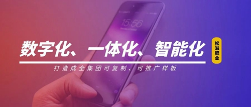 線上辦公零接觸！松滋肥業(yè)信息化在戰(zhàn)“疫”之中顯身手(圖1)