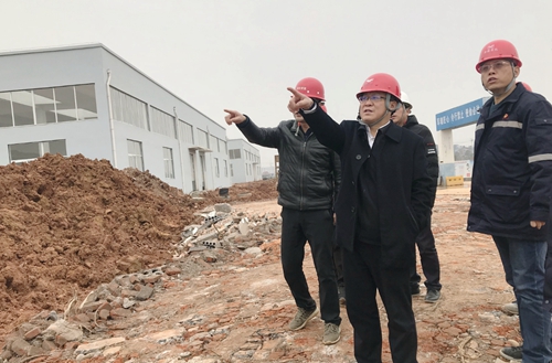 王大真到新材料公司、TPO項目現(xiàn)場和股份公司檢查工作(圖2)