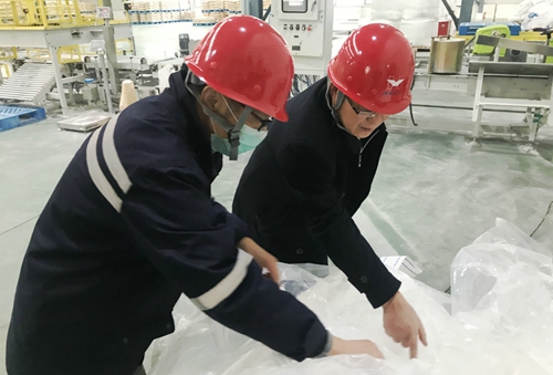 王大真到新材料公司、TPO項(xiàng)目現(xiàn)場(chǎng)和股份公司檢查工作